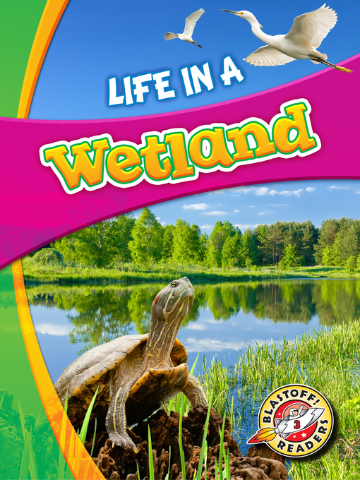 Title details for Life in a Wetland by Mandy Kaplan - Wait list